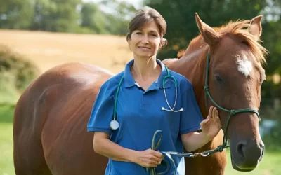 What are gastric ulcers?